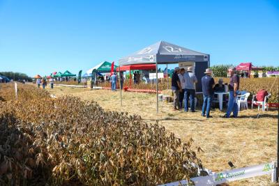 Dia de Campo Coprossel -Evento reuniu produtores, lideranças e empresas parceiras para apresentar tecnologias 